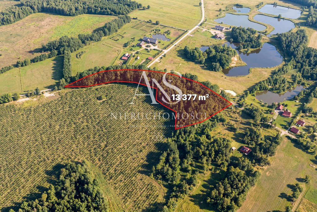 Działka 13 377 m² z warunkami zabudowy pod dom (Nowe Koprzywno) Nowe Koprzywno  13 377m2 Foto 1