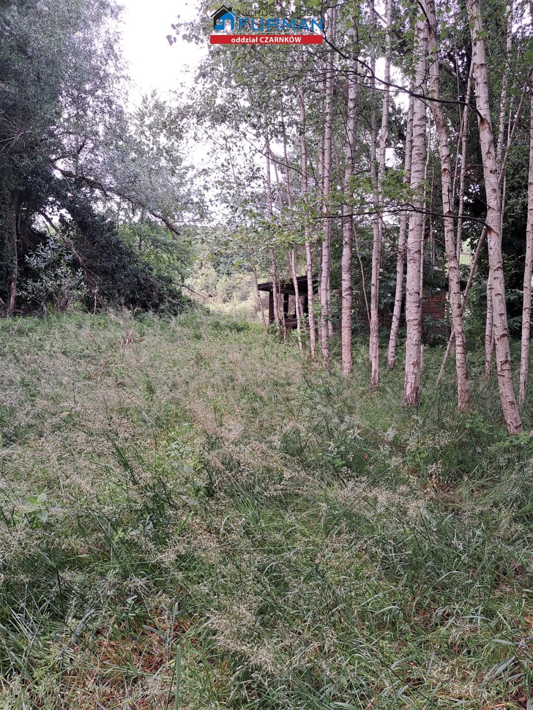 Działka inwestycyjna na sprzedaż Miały  26 107m2 Foto 1