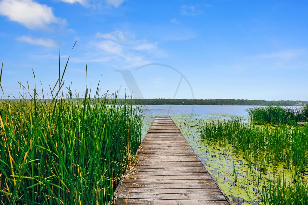 Dom na sprzedaż Zegrze Południowe  525m2 Foto 20