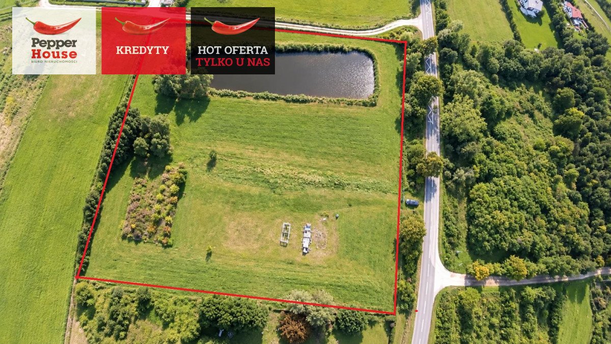 Do sprzedania przestronna działka 11 900 m² z stawem i nasadzeniami Łęcze  11 900m2 Foto 1