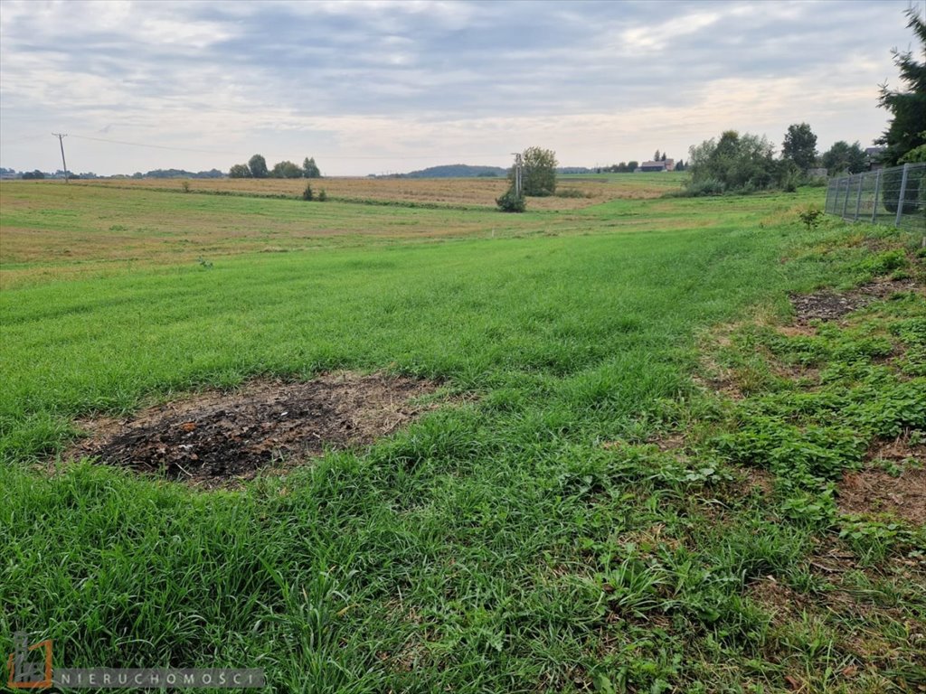 Działka budowlana na sprzedaż Wilków  785m2 Foto 3