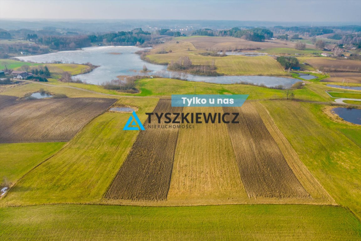 Działka budowlana na sprzedaż Przęsin  1 777m2 Foto 1
