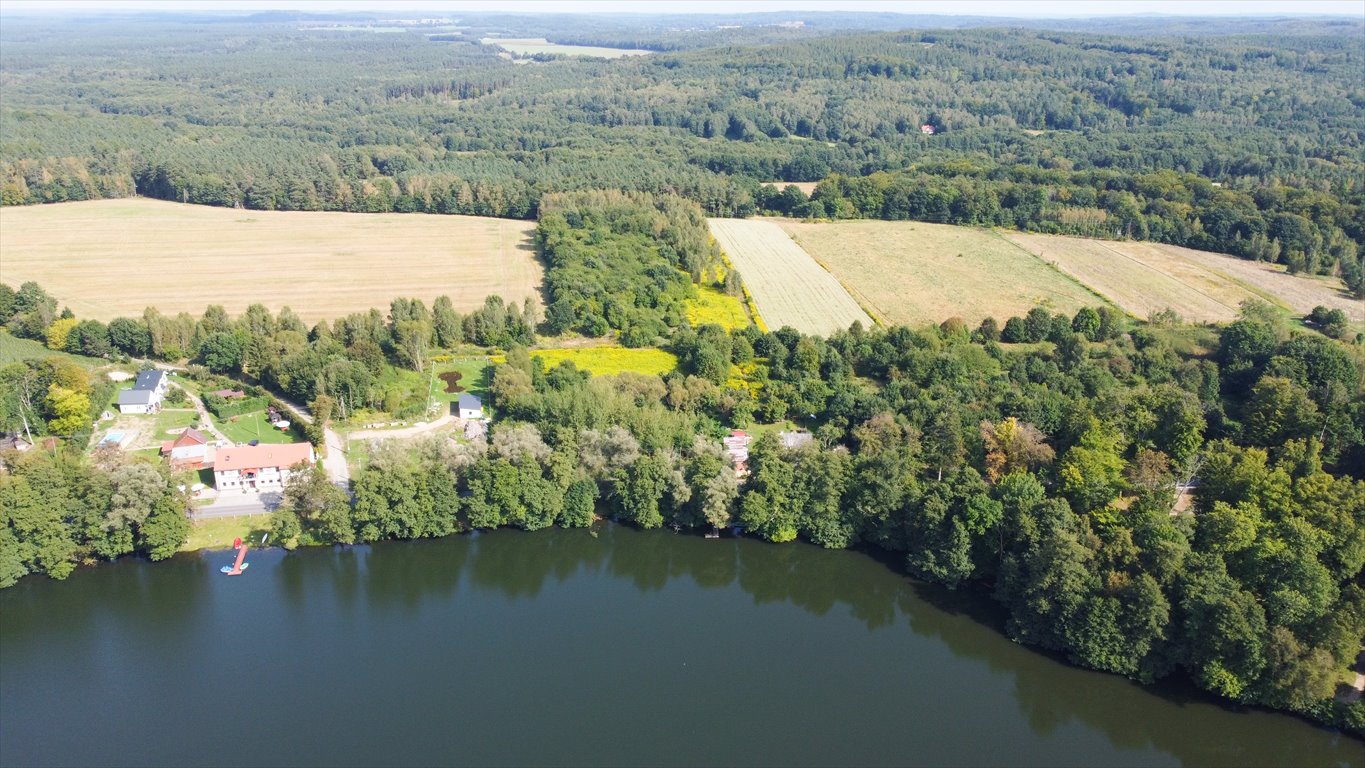 Działka rolna na sprzedaż Krąg  2 936m2 Foto 8