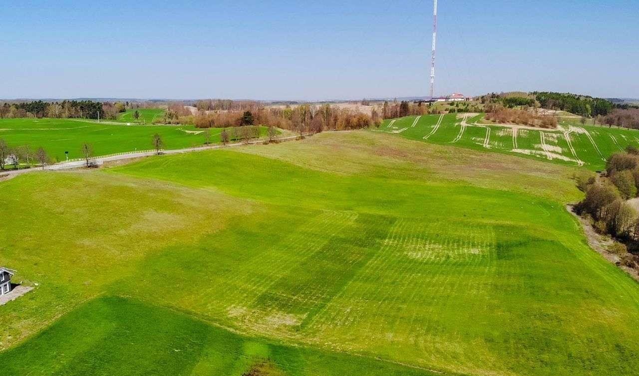 Działka budowlana na sprzedaż Miłki  10 002m2 Foto 17