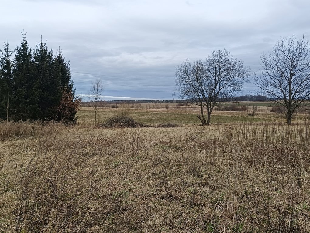 Działka budowlana na sprzedaż Rudzica  2 900m2 Foto 10