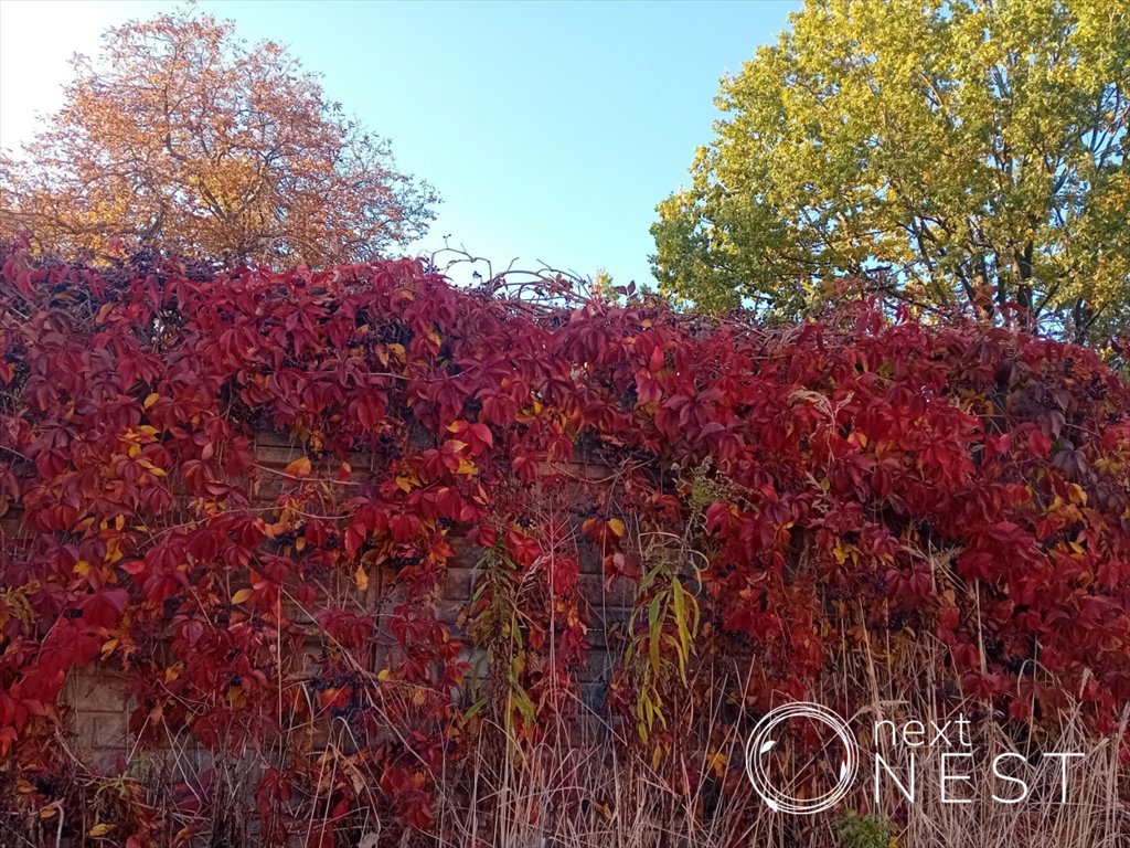 Działka budowlana na sprzedaż Podolszyn Nowy  1 660m2 Foto 1