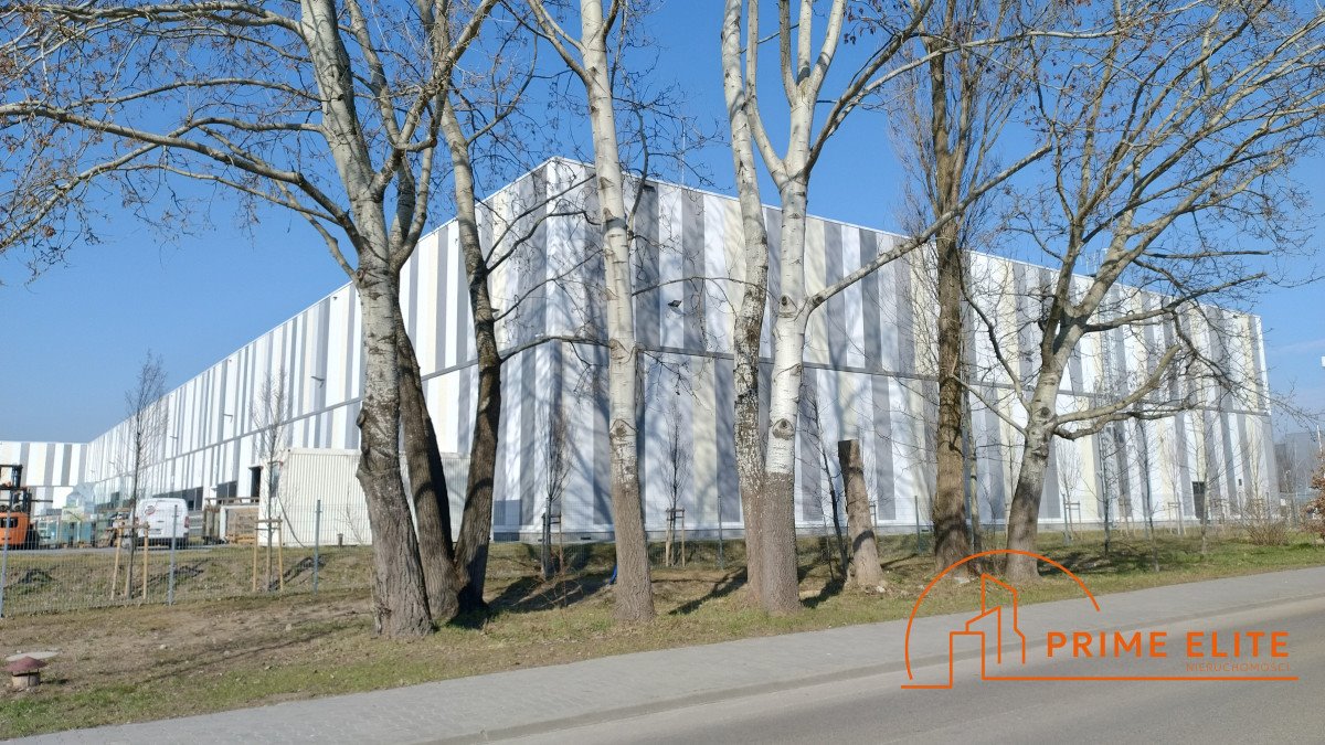 Magazyn 480 m² w Ursynowie, open space, blisko S79 Warszawa, Ursynów, Osmańska  480m2 Foto 1