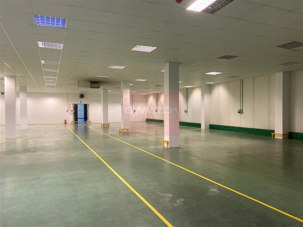 Lokal użytkowy na wynajem Piaseczno  800m2 Foto 8