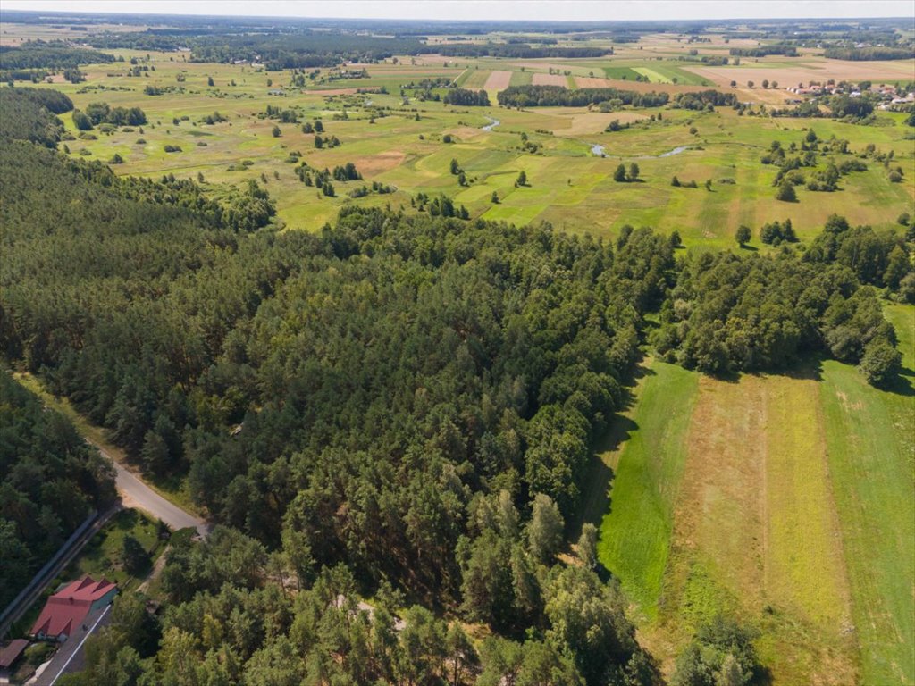 Działka leśna na sprzedaż Ossolin  2 000m2 Foto 11