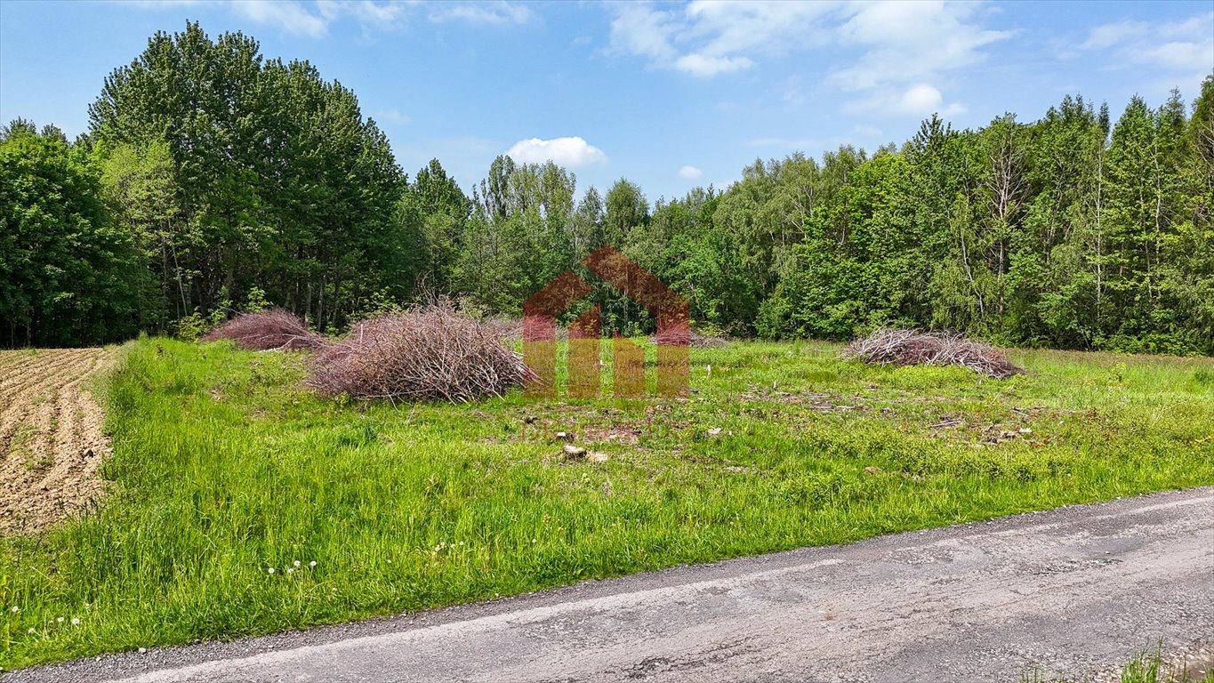 Widokowe działki w Będzienicy (980 m², las, warunki zabudowy) Będzienica  980m2 Foto 1