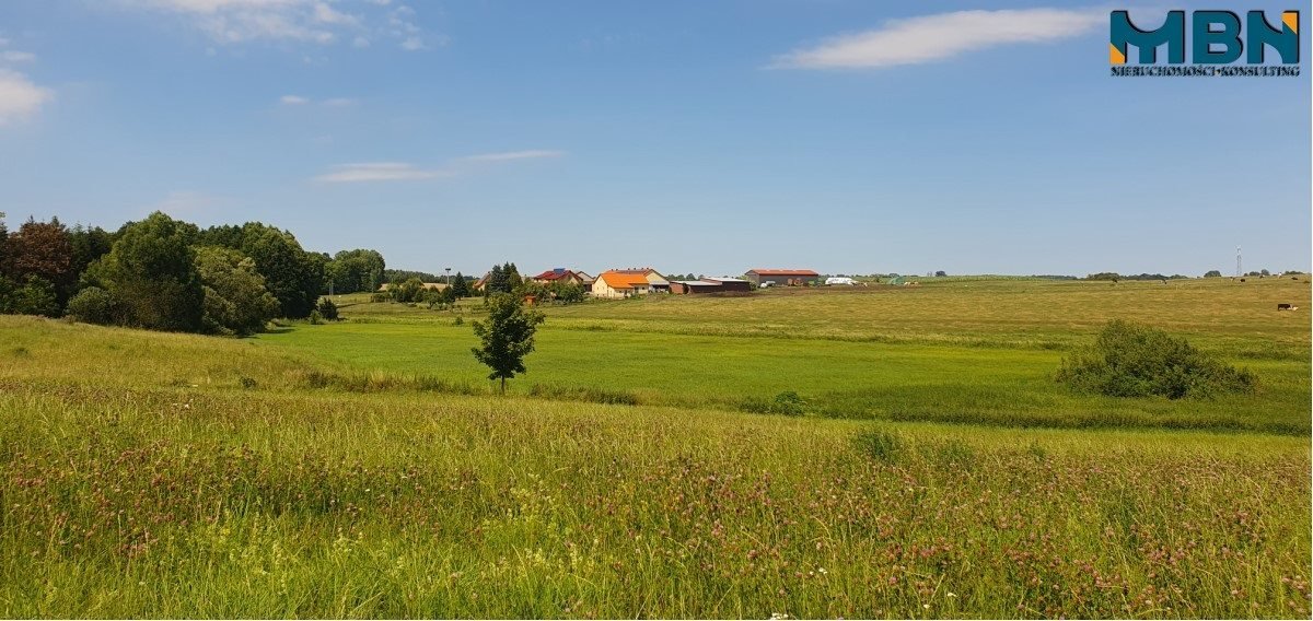 Działka rolna na sprzedaż Stręgielek, Stręgielek  3 035m2 Foto 9