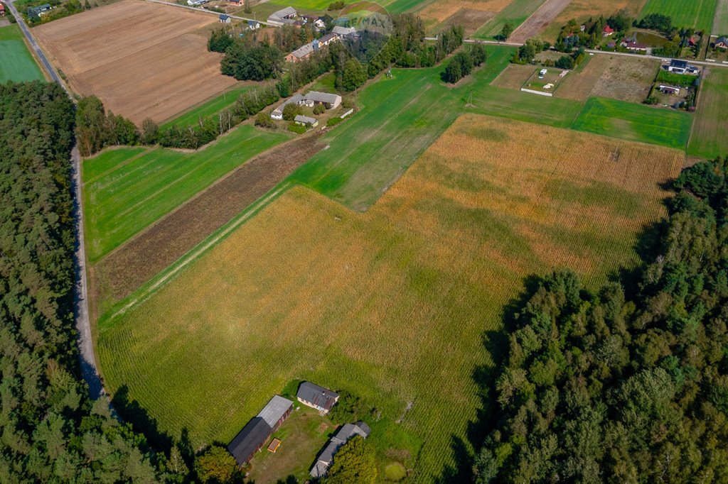 Działka budowlana na sprzedaż Wodzin Majoracki, Okupniki  1 200m2 Foto 9