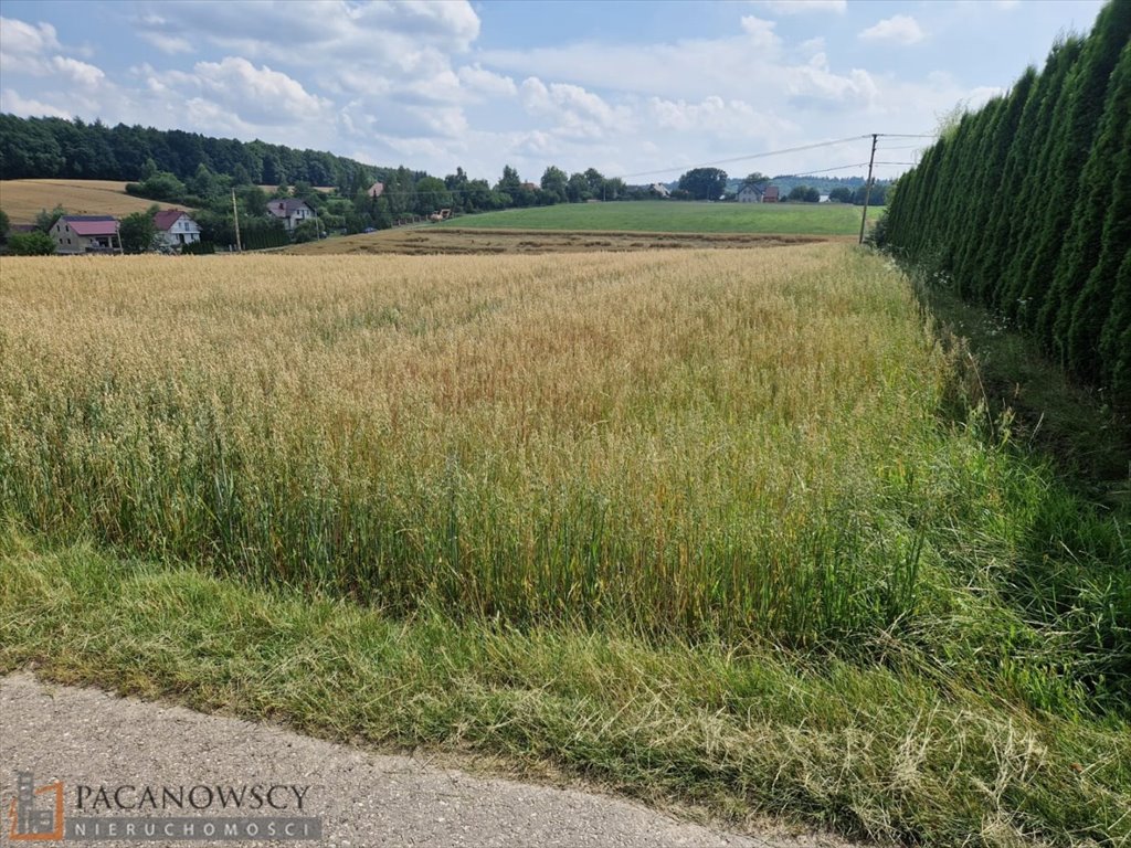 Działka budowlana na sprzedaż Zaborze  5 293m2 Foto 5