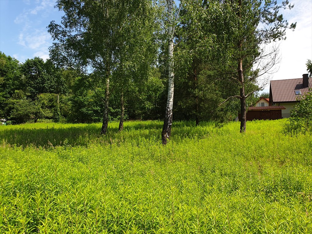 Działka budowlana na sprzedaż Nowy Prażmów  1 029m2 Foto 6