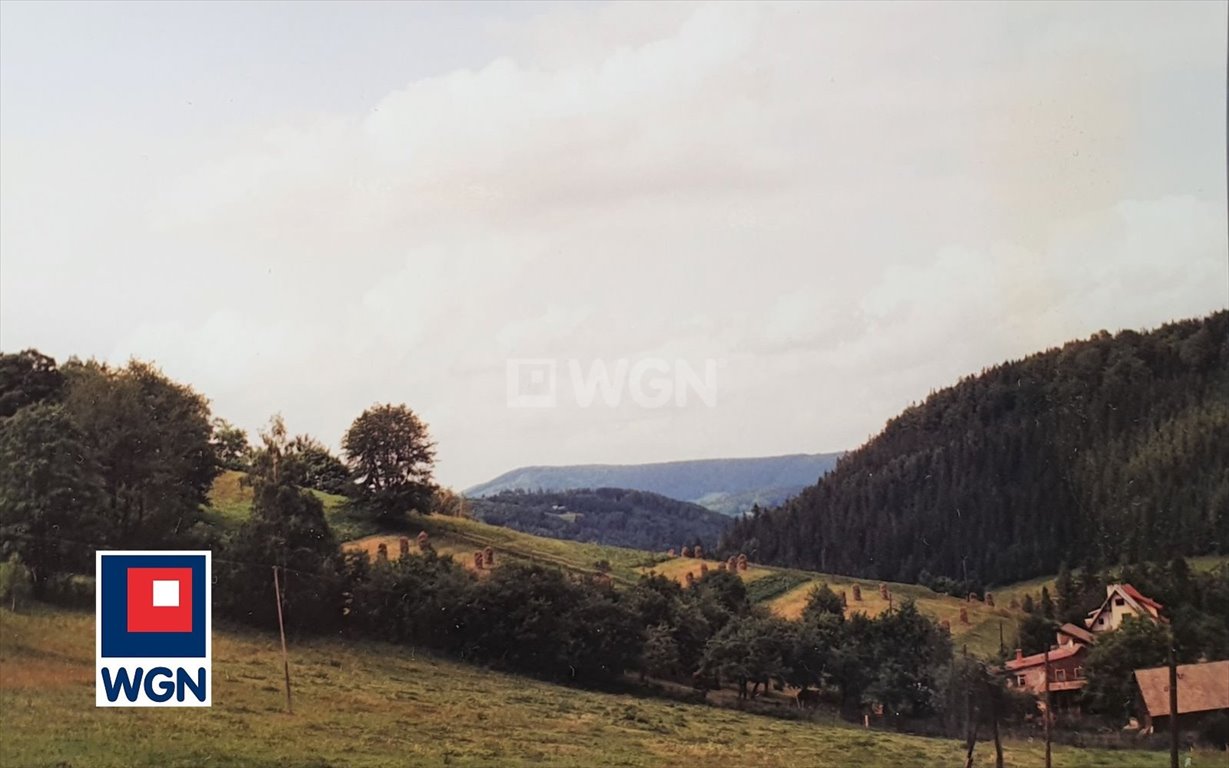 Działka rekreacyjna na sprzedaż Wisła, Jawornik  19 000m2 Foto 7