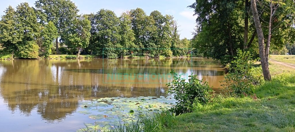 Działka inwestycyjna z stawami i wyspą, rekreacja i usługi Grodzisk Mazowiecki  53 272m2 Foto 1