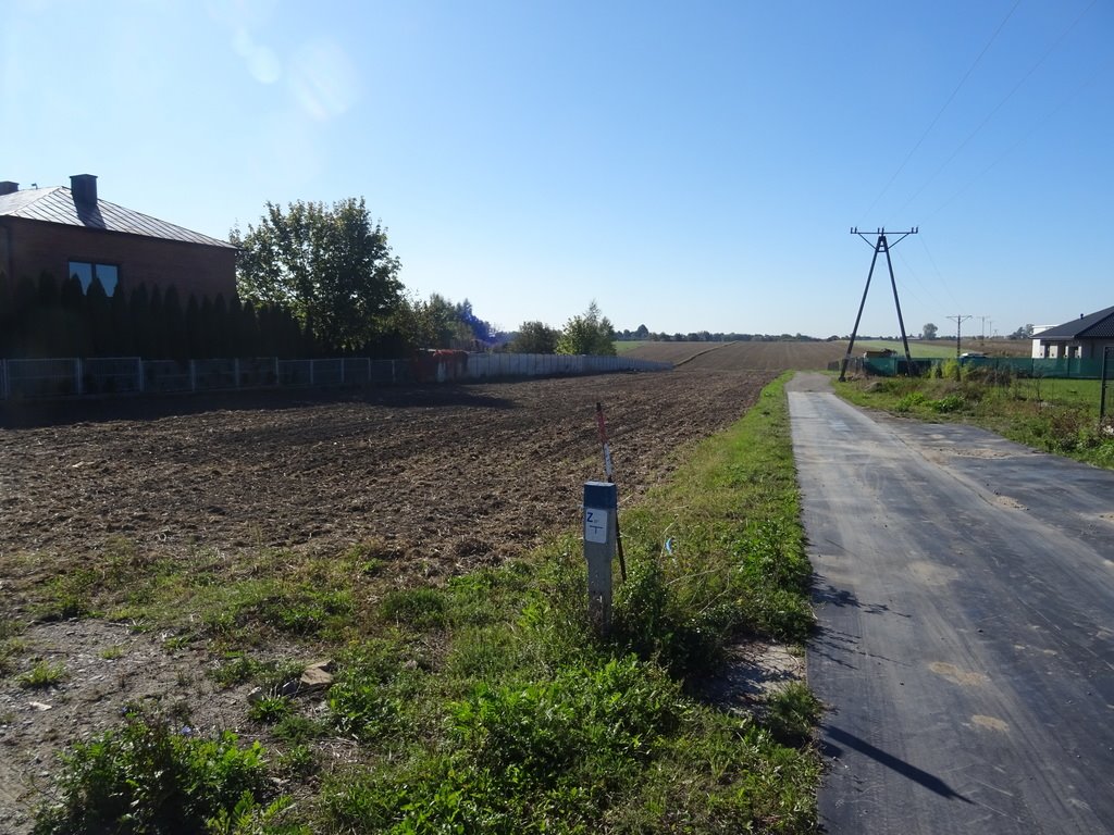 Działka budowlana na sprzedaż Piotrków Trybunalski  3 342m2 Foto 8