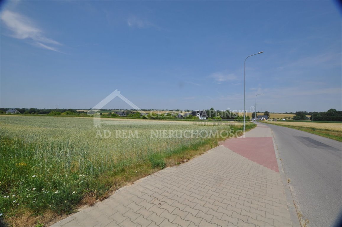 Zdjęcie 7