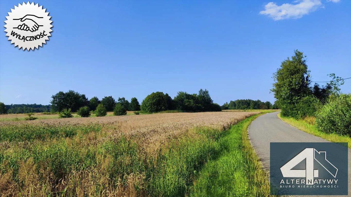 Działka budowlana na sprzedaż Szarwark  1 900m2 Foto 2