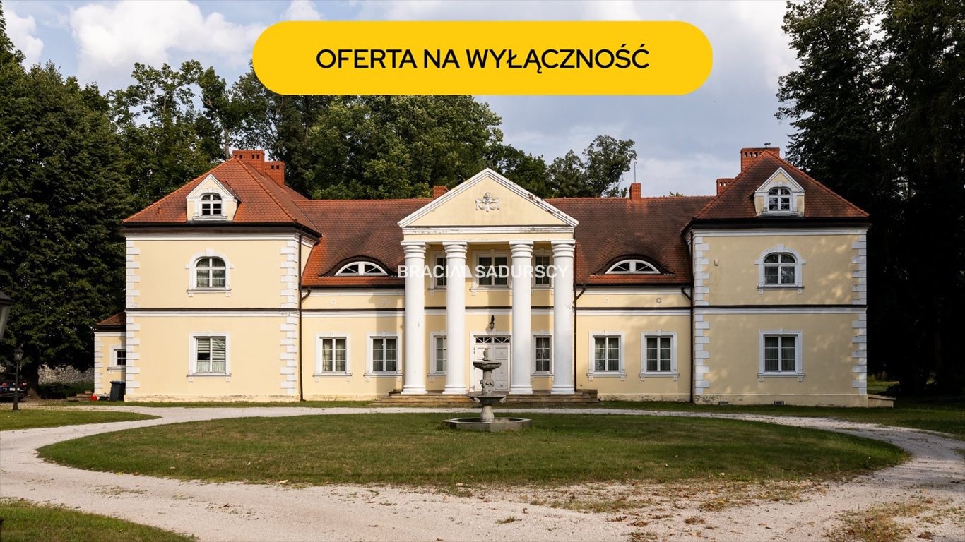 Historyczny pałac 940 m² z tarasem i ogrodem Radoszewnica, Koniecpolska  940m2 Foto 1