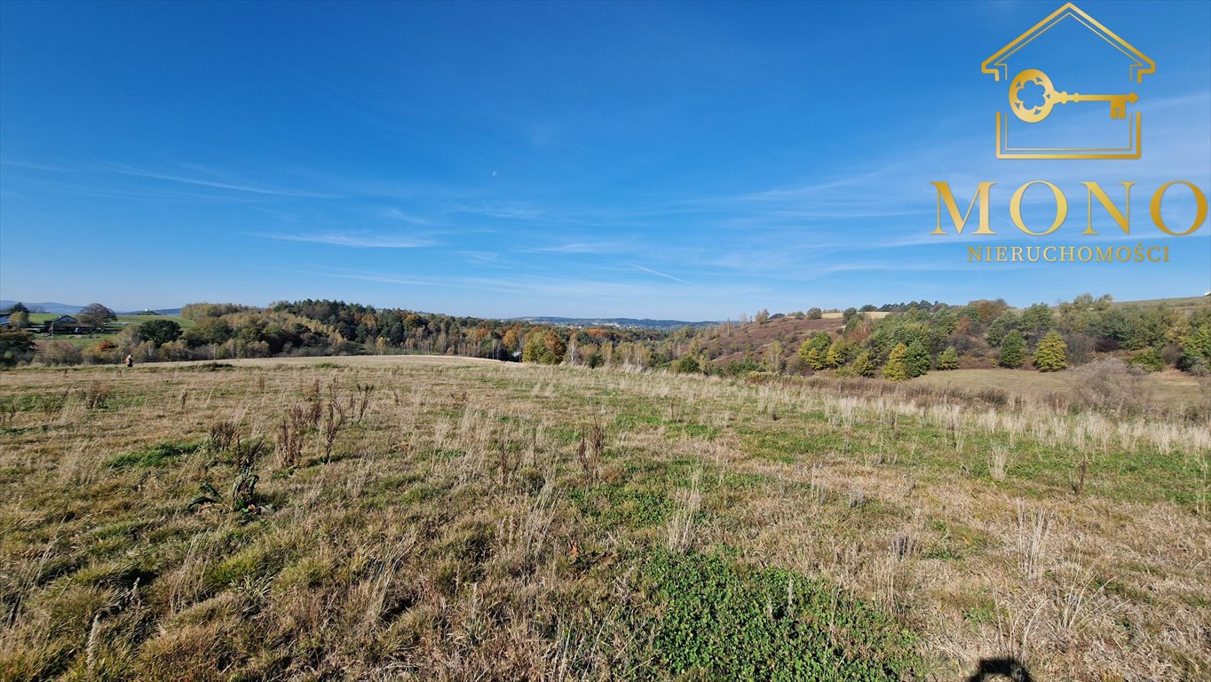 Działka rolna na sprzedaż Korczyna  15 400m2 Foto 13