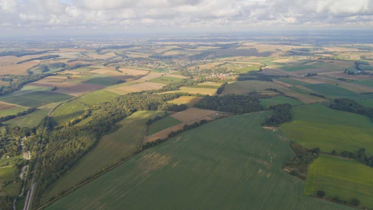 Działka budowlana na sprzedaż Trzebnica, Taczów Mały  1 201m2 Foto 4