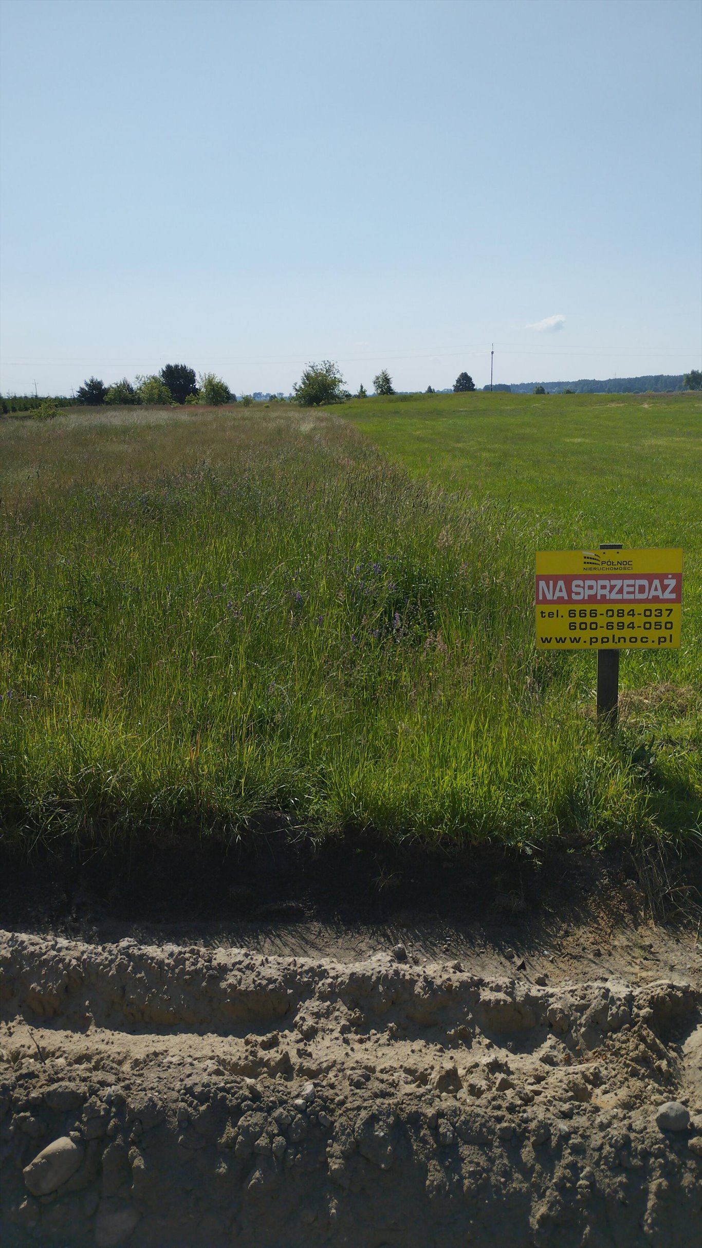 Działka budowlana na sprzedaż Jeglijowiec  3 200m2 Foto 4