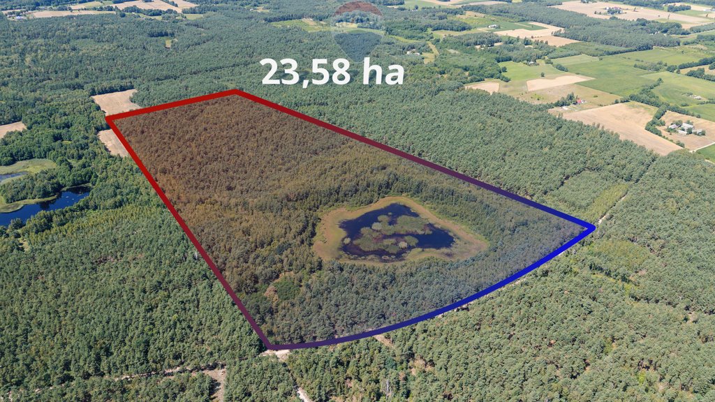 Urokliwa działka 23,58 ha z oczkiem wodnym i możliwością zabudowy Sierpc  235 800m2 Foto 1