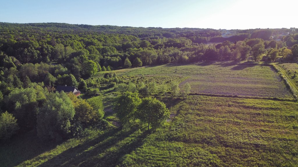 Działka budowlana na sprzedaż Hermanowa  16 000m2 Foto 7