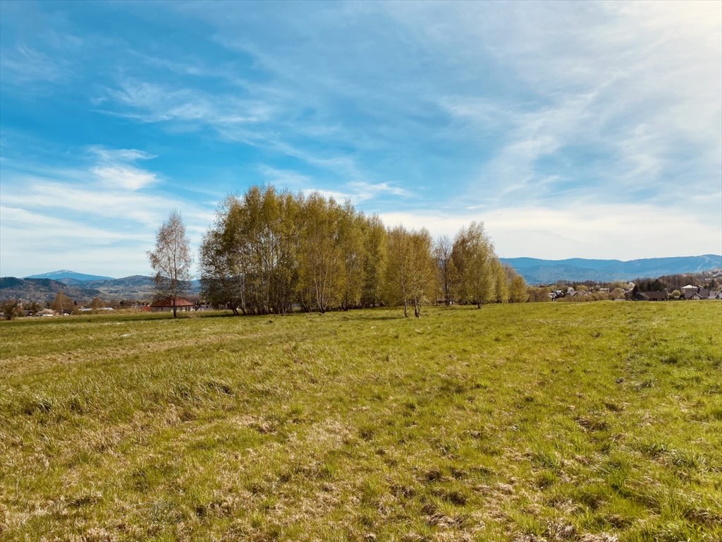 Działka budowlana na sprzedaż Leśna, Leśna, Promienna  1 080m2 Foto 7