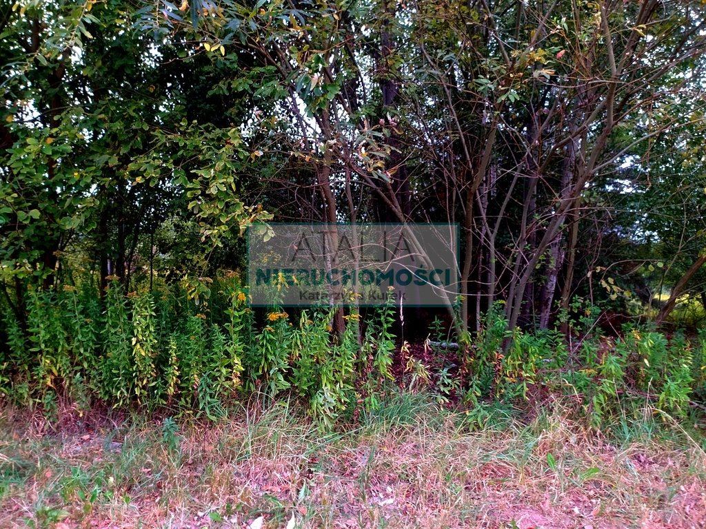 Działka 1900 m² pod dom jednorodzinny w Wolicy - media w drodze Wolica  1 900m2 Foto 1