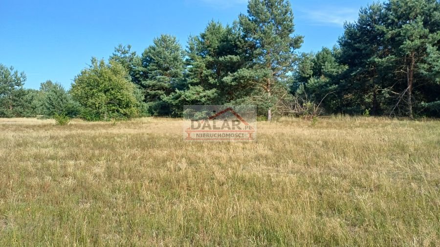 Działka budowlana na sprzedaż Grabów nad Pilicą, Lipinki  1 200m2 Foto 16