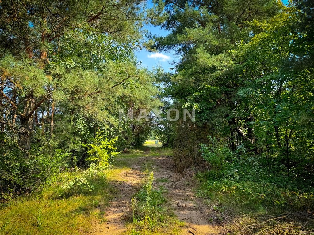 Działka rekreacyjna na sprzedaż Kruczy Borek  1 000m2 Foto 10