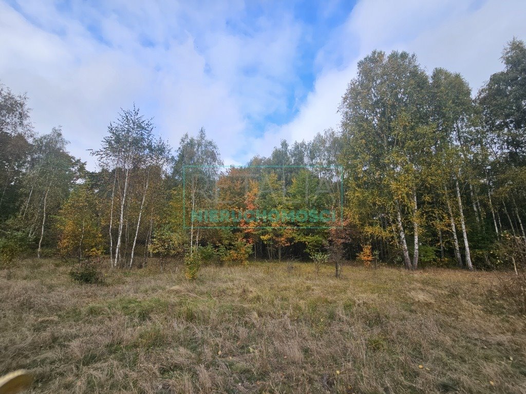 Działka 1500m² z mediami, las i spokój, blisko Warszawy Radonie  1 500m2 Foto 1