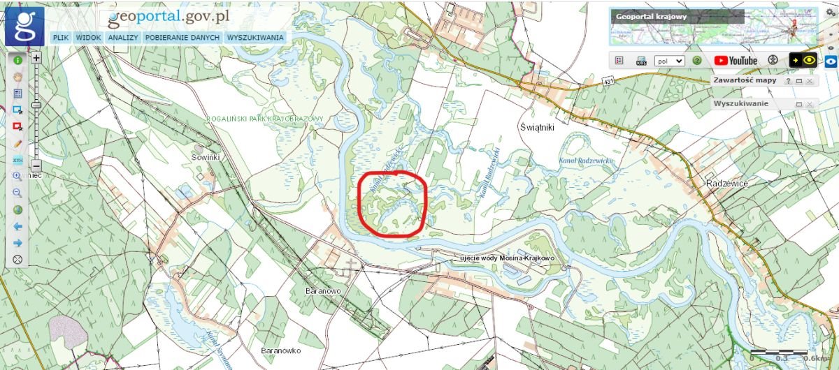 Do sprzedania działka 1,95 ha z lasami i wodami w Rogalinie Rogalin, ROGALIN  19 500m2 Foto 1