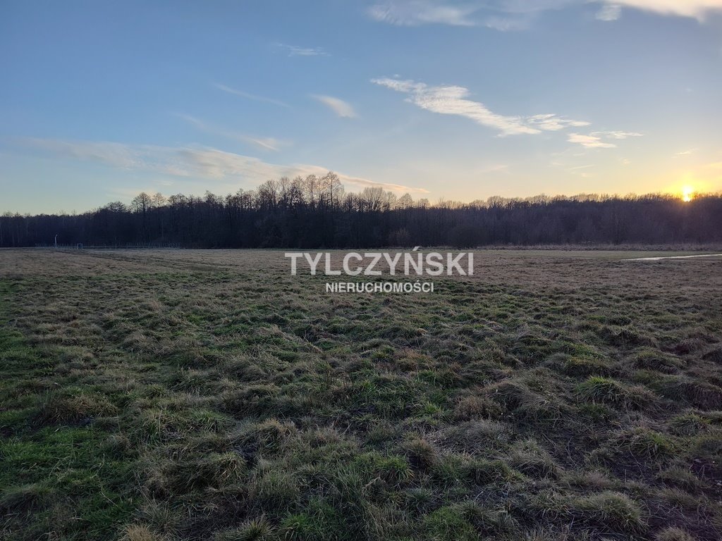 Działka rolna na sprzedaż Kaleń  40 000m2 Foto 5