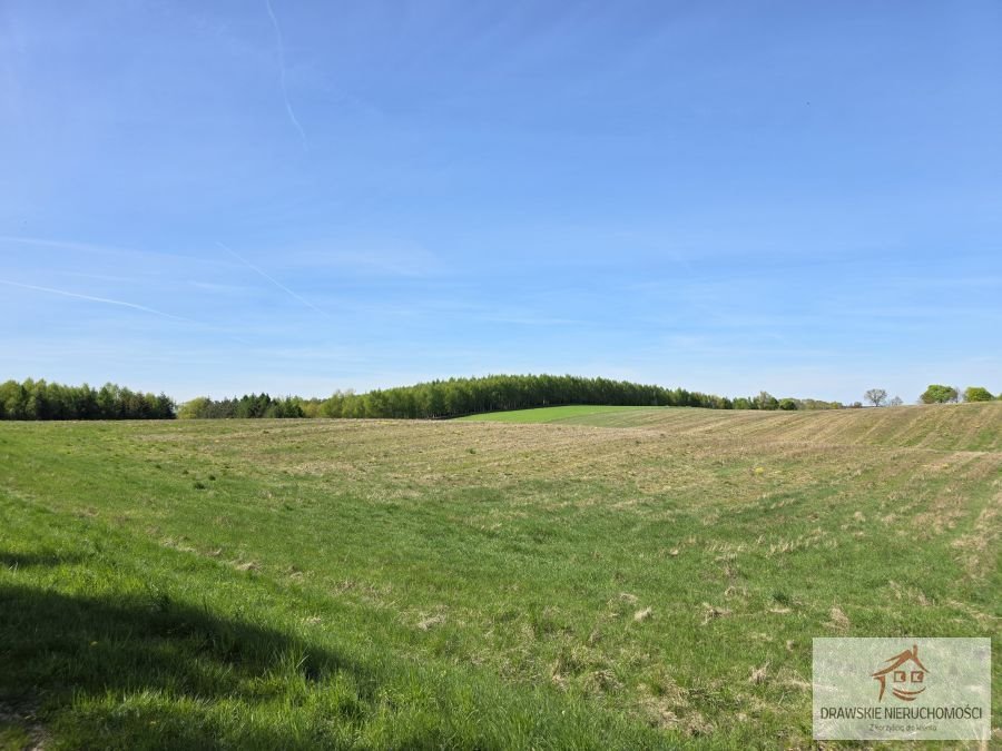 Działka rolna 61 000 m² przy lesie i jeziorze Linowno, Linowno  61 000m2 Foto 1