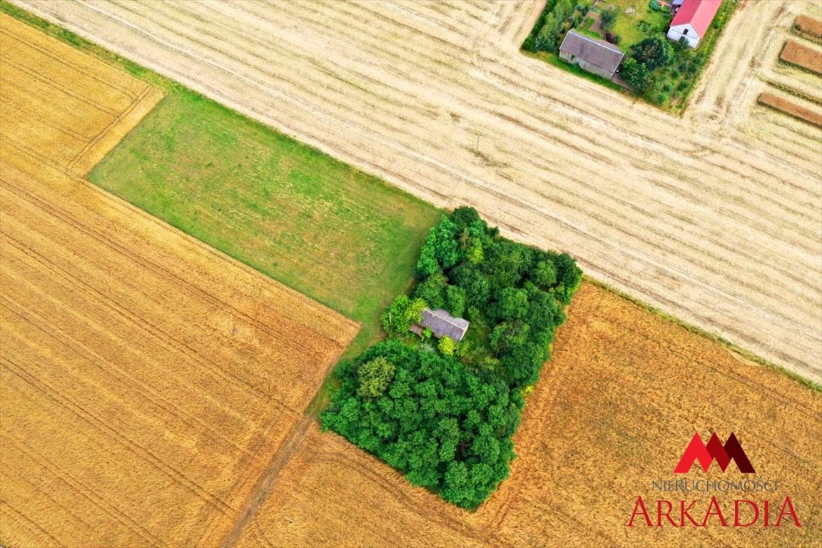 Działka budowlana na sprzedaż Kamienne Brody  5 086m2 Foto 3