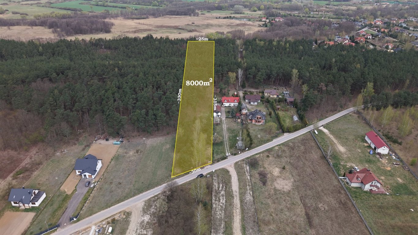 Polecam działkę 8 000 m² z lasem i możliwością zabudowy w Augustówku Augustówek  8 000m2 Foto 1