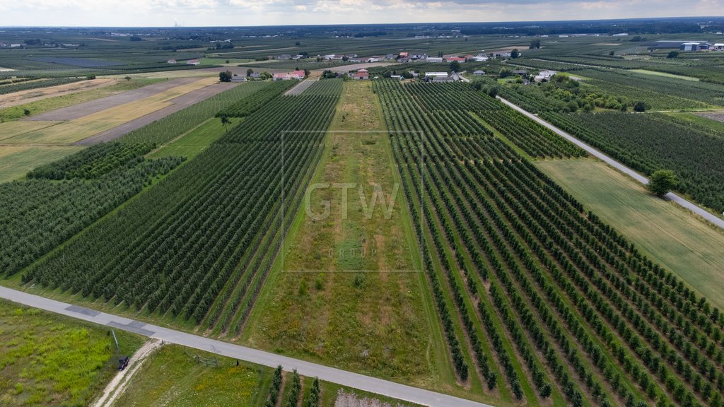 Działka budowlana na sprzedaż Martynów  1 499m2 Foto 5