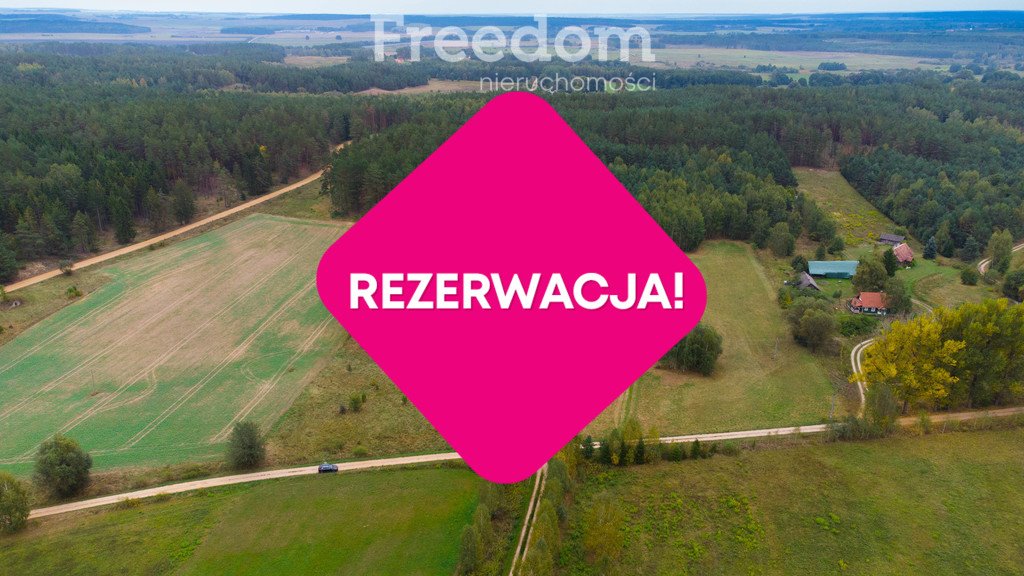 Działka siedliskowa na sprzedaż Łapicze  11 000m2 Foto 4