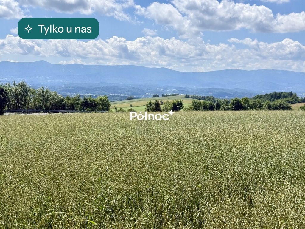 Działka 3700 m² z widokiem na Karkonosze i dostępem do mediów Dziwiszów  3 700m2 Foto 1