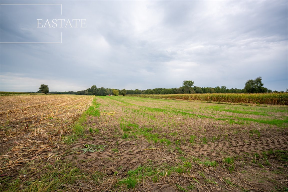 Działka budowlana na sprzedaż Gągolin Północny  29 200m2 Foto 7