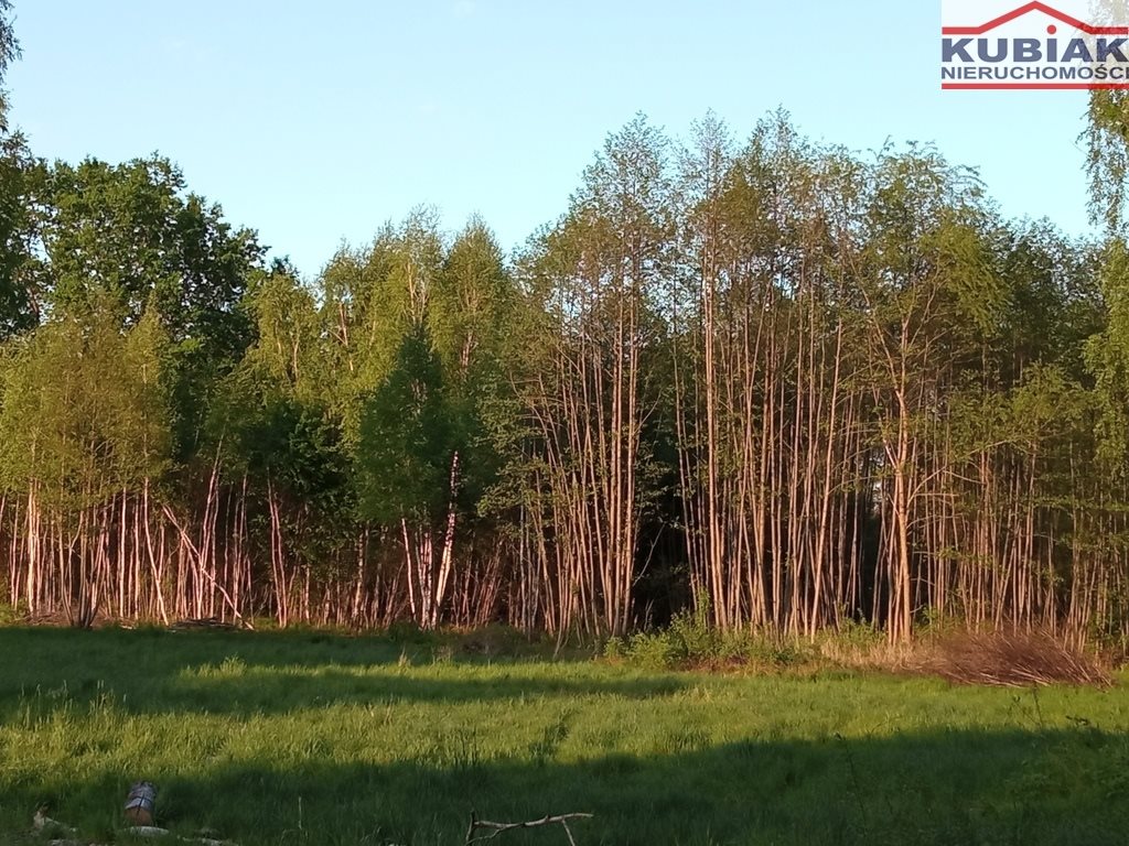 Działka budowlana na sprzedaż Radonie  3 000m2 Foto 2