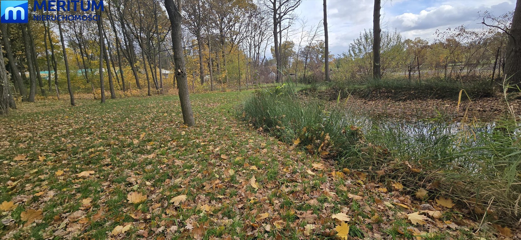 Do sprzedania malownicza działka leśna z prawem zabudowy 2250 m² Podkowa Leśna  2 250m2 Foto 1