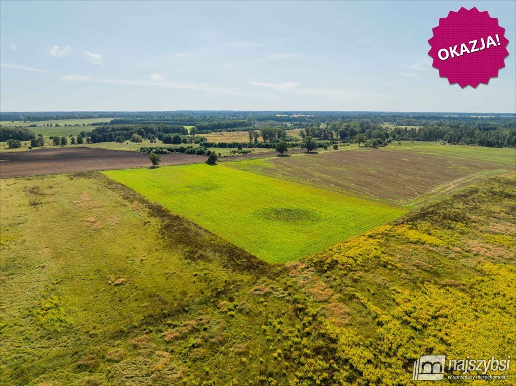 Działka rolna 26 800 m² w Siwkowicach – potencjał inwestycyjny Siwkowice, Centrum  26 800m2 Foto 1