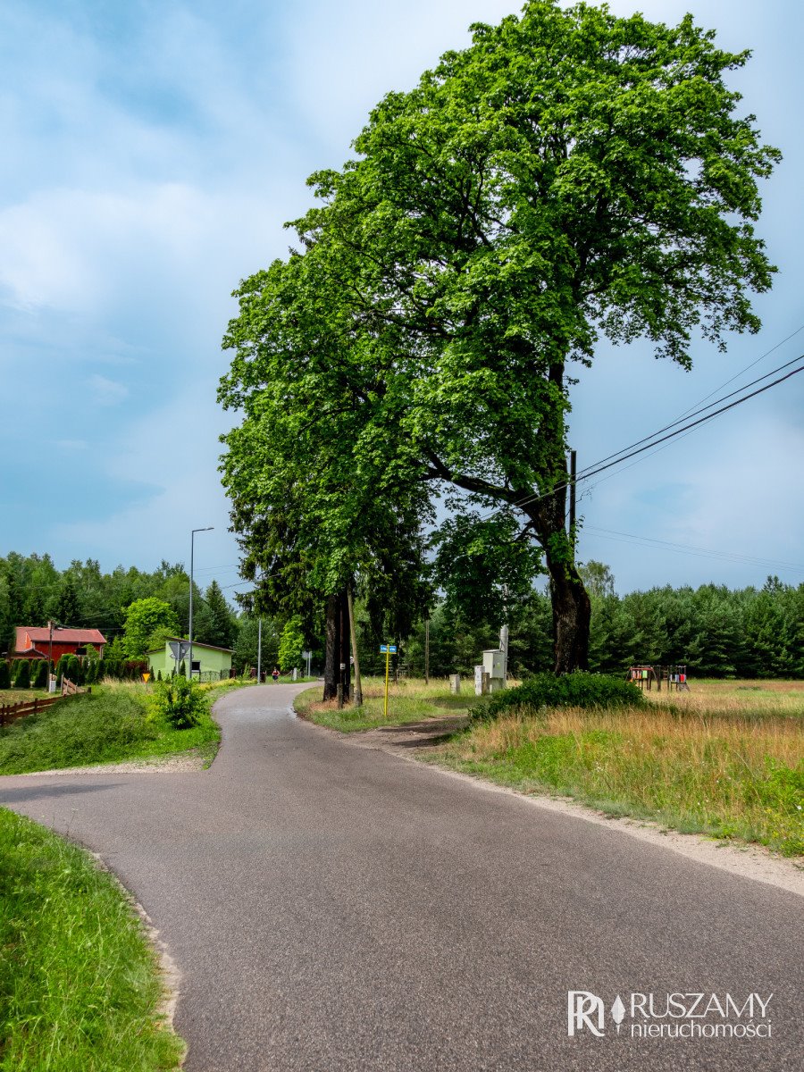 Działka budowlana na sprzedaż Wojtal  3 130m2 Foto 5