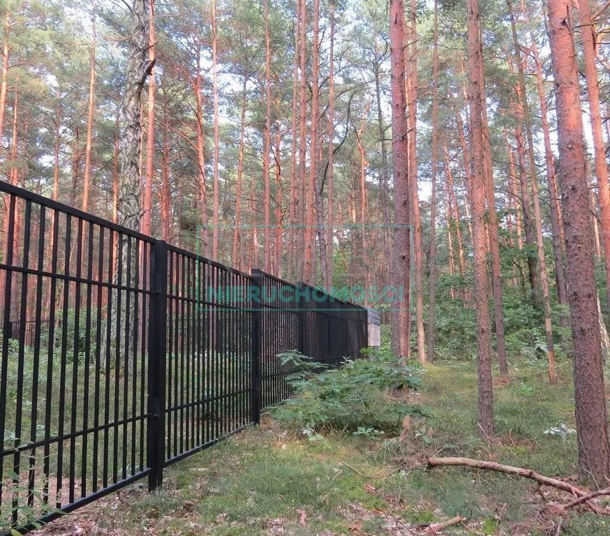 Działka leśna z prawem budowy na sprzedaż Sękocin-Las  2 100m2 Foto 3