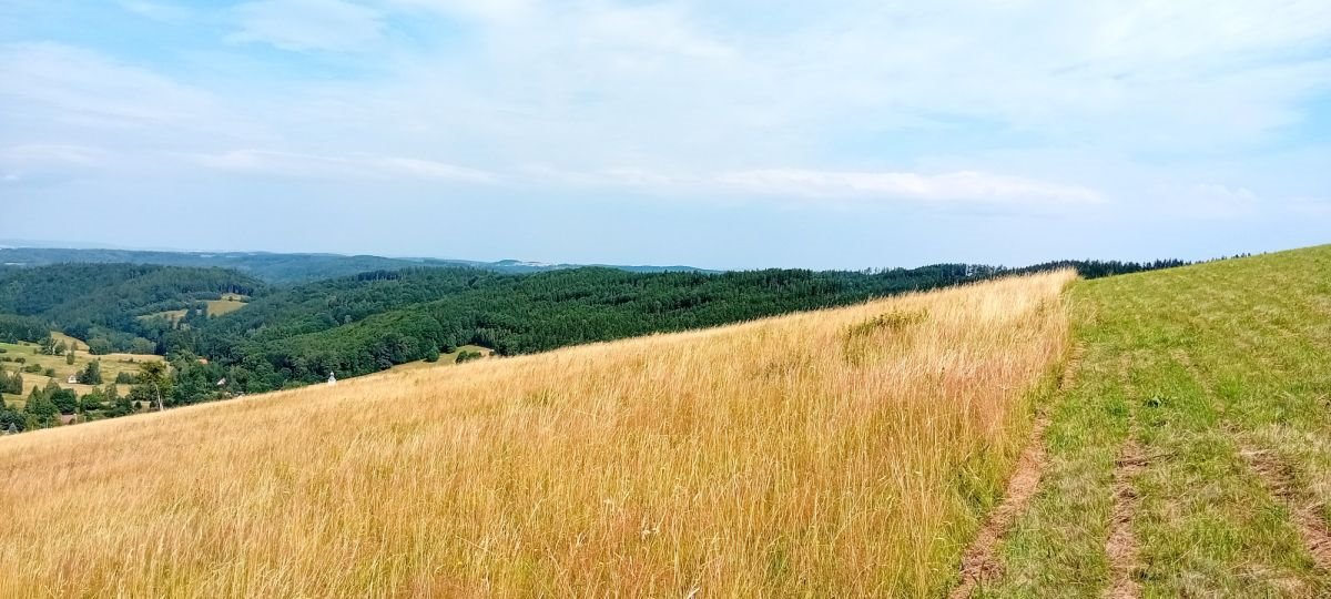 Działka budowlana na sprzedaż Michałkowa  1 200m2 Foto 6