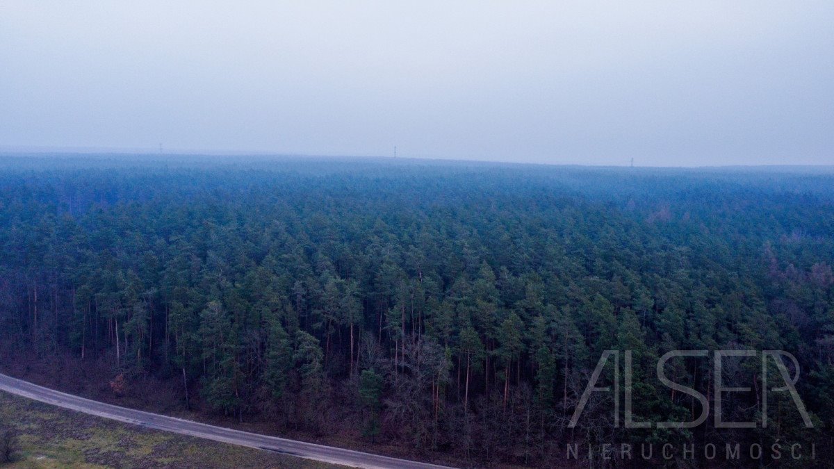 Działka budowlana na sprzedaż Leszczydół-Nowiny, Daliowa  1 150m2 Foto 7